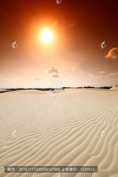 沙漠里的太陽