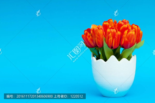 五顏六色的郁金香花在白壺里