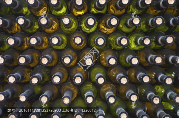 酒窖