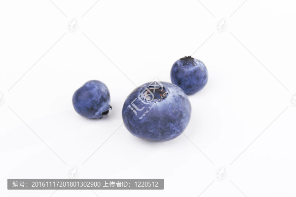 三、藍(lán)莓