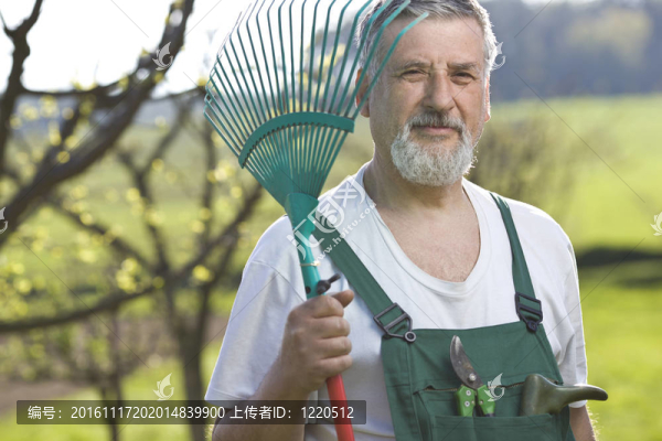 一位園藝高級男子在花園里的畫像