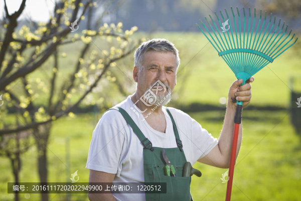 一位園藝高級男子在花園里的畫像