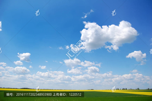 綠地與天空
