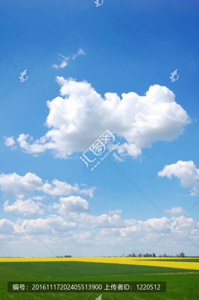 綠地與天空