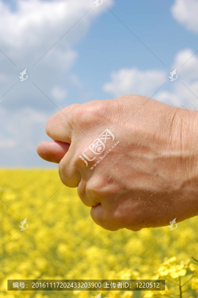 農(nóng)民手上展示圖