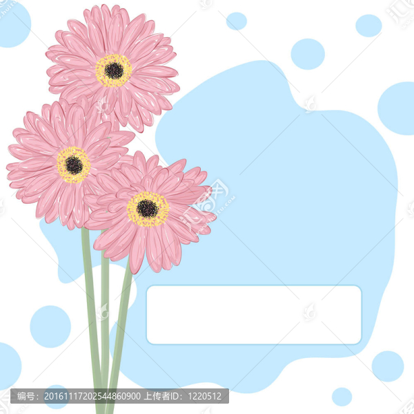 Gerberas。賀卡。