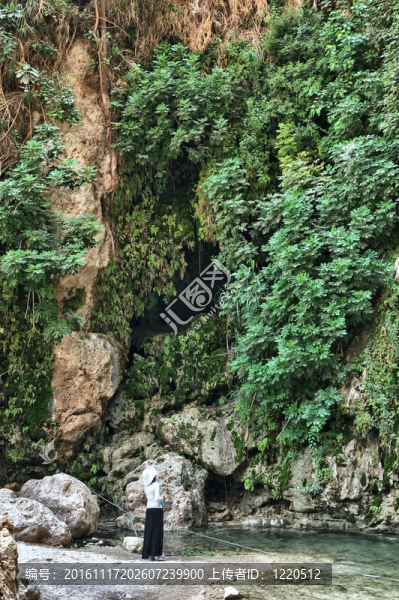 艾因蓋迪自然保護區(qū)從死海海岸