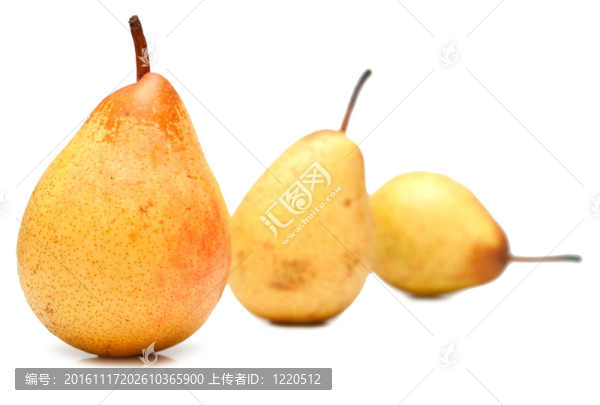 多汁的成熟的黃色梨-匯圖網(wǎng) www.fosd68.com 多汁的成熟的黃色梨