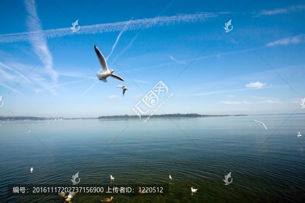 河-匯圖網(wǎng) www.fosd68.com 河