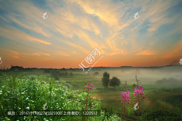 日落的天空