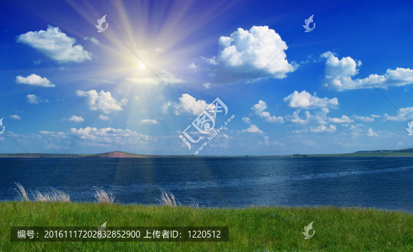 夏天的風(fēng)景