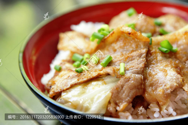 豬肉飯