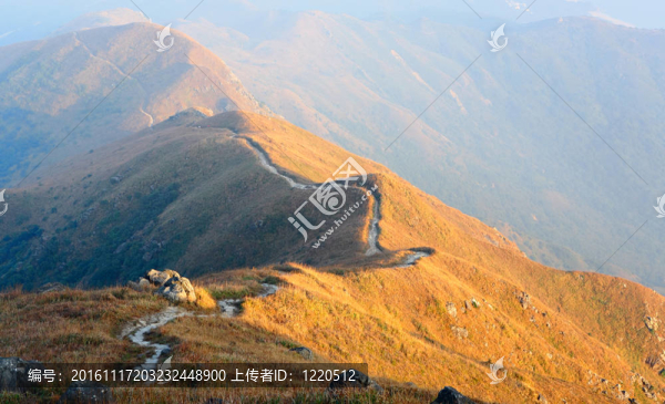 山間小道