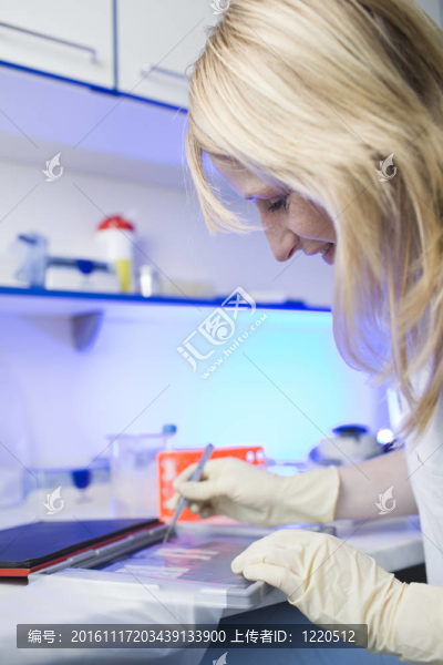 一位女研究員在實驗室做研究的畫像