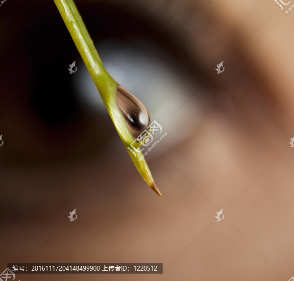 水滴在薄葉上的反射