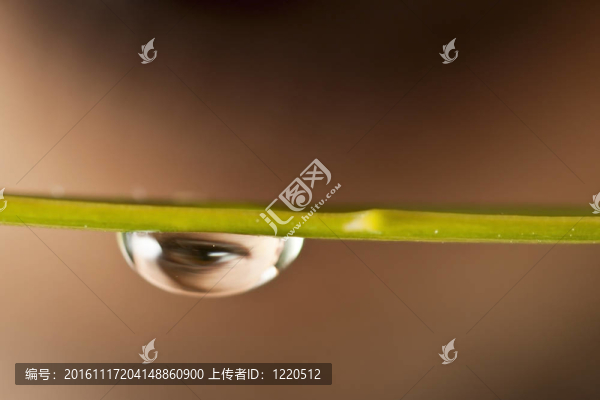 水滴在薄葉上的反射