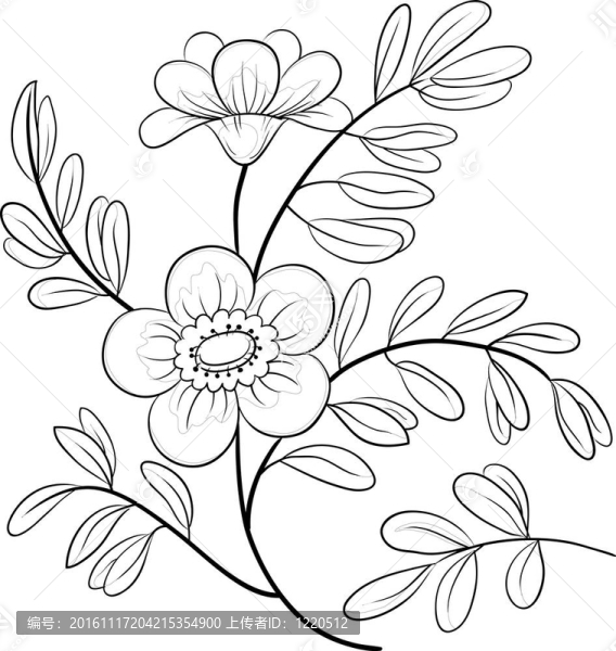 抽象花；輪廓