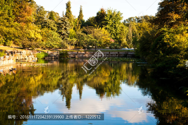 美麗的自然公園