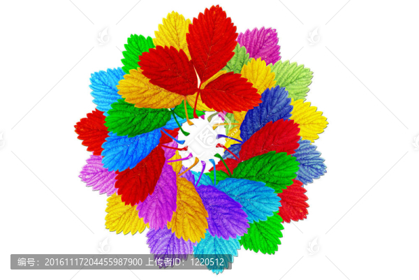 五顏六色的樹(shù)葉