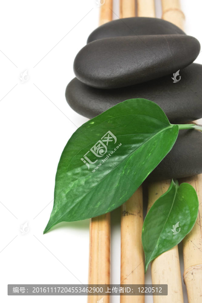 溫泉仍然生活孤立