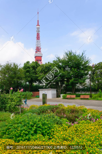 東京；日本