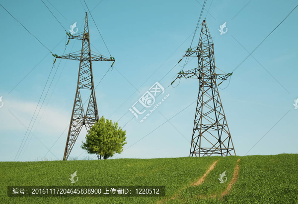 綠色場上的電力線