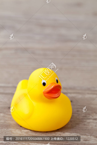 橡膠鴨