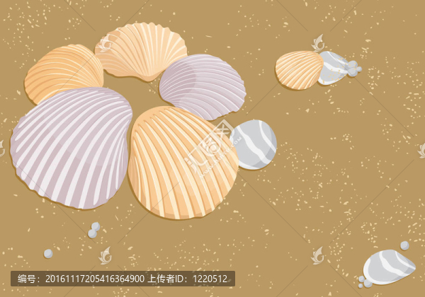 向量的貝殼