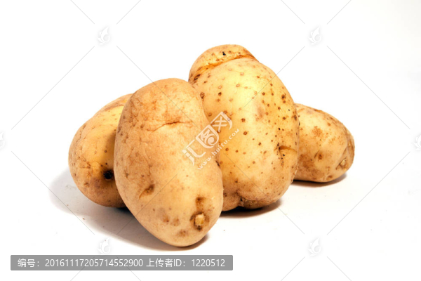 蔬菜
