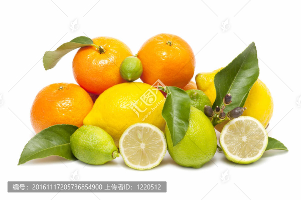 白色背景上新鮮的檸檬和檸檬