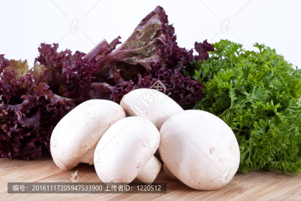 木板上的蘑菇