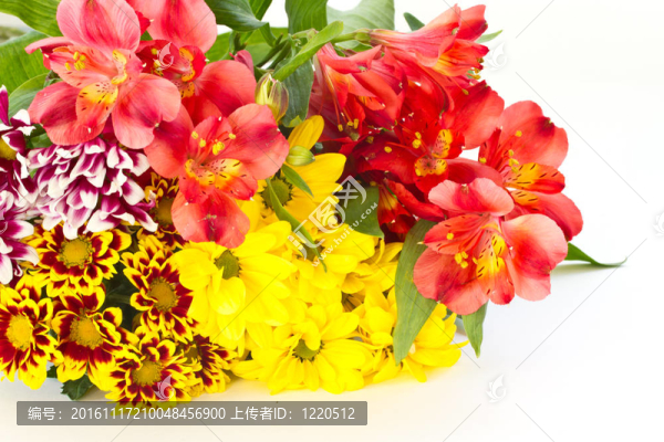 美麗的花束