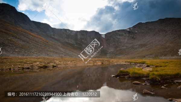 在落基山脈的高山夏季