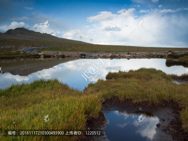 在落基山脈的高山夏季