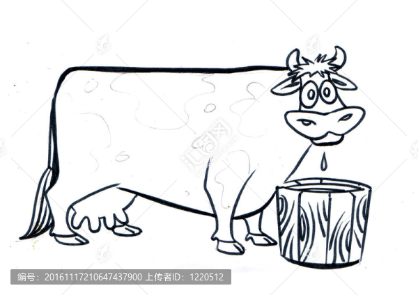 奶牛