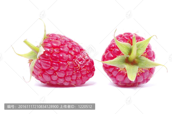 覆盆子