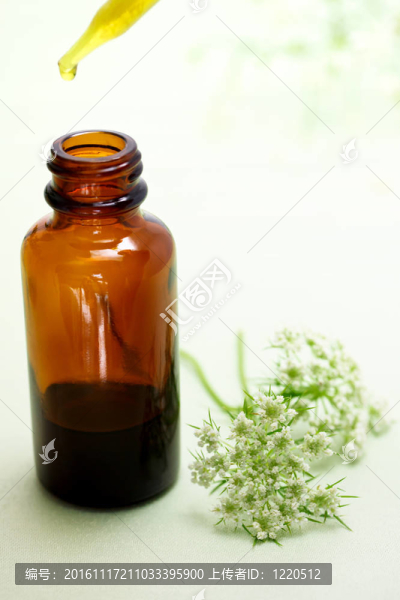 用滴管瓶的中草藥