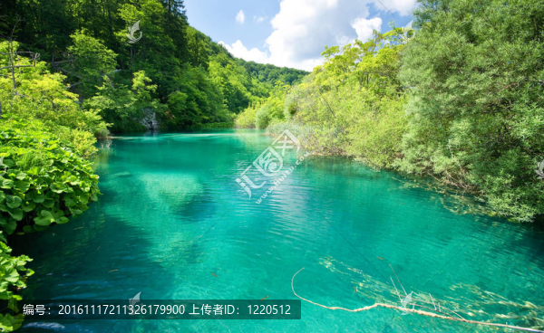 在林河
