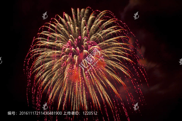 煙花美麗明亮的顏色和形狀