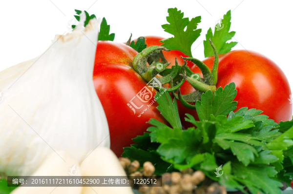 新鮮蔬菜