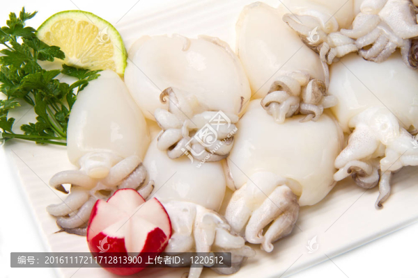 新鮮墨魚(yú)