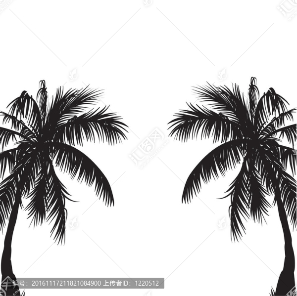 兩棵棕櫚樹(shù)。
