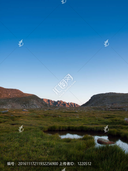 在落基山脈的高山夏季