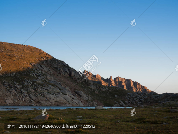 在落基山脈的高山夏季