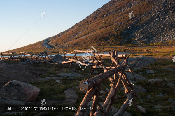 在落基山脈的高山夏季