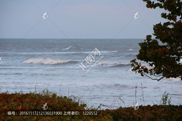 海灘的海岸線