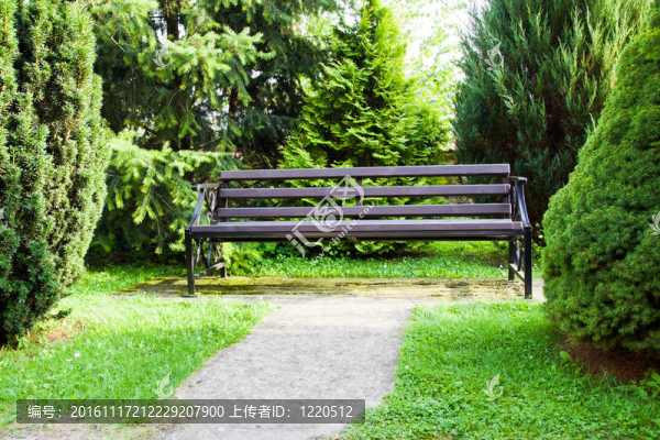 在公園長椅上