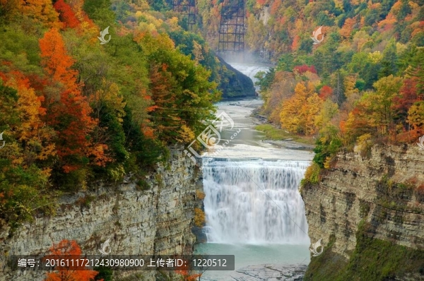 中間落在Letchworth