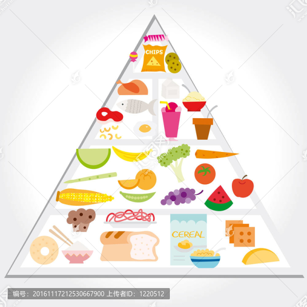 向量-食物指南金字塔