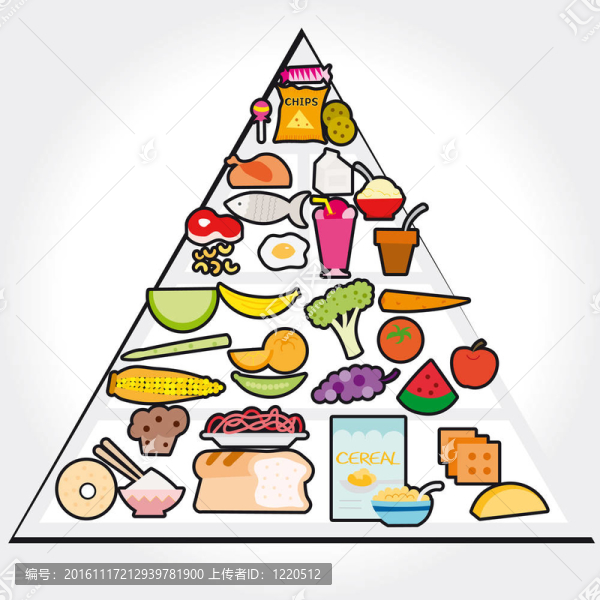 向量-食物指南金字塔